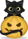 Cute black cat with Halloween pumpkin. Royalty Free Stock Photo