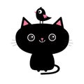 Cute black cat icon. Bird sitting on head face. Funny cartoon character. Kawaii animal. Tail, whisker, big eyes. Kitty kitten. Bab Royalty Free Stock Photo