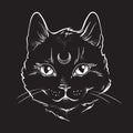 Cute black cat with moon on his forehead line art and dot work. Wiccan familiar spirit, halloween or pagan witchcraft theme tapest