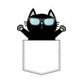 Cute black cat in the pocket wearing sunglasses. Holding paw hands. Doodle contour linear sketch. Cartoon pet animals. Kitten kitt Royalty Free Stock Photo