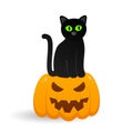 Cute black with cat sitting on halloween pumpkin with scary face Royalty Free Stock Photo