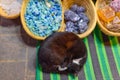 Cute black cat sleeping on a colored blanket in the street of the Medina in Essaouira. Morocco Royalty Free Stock Photo