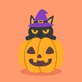 A cute black cat wearing a violet witch hat stays above the Halloween pumpkin