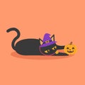 A cute black cat in a witch hat playing with a Halloween pumpkin