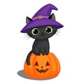 Black cat in a witch hat on a Halloween pumpkin