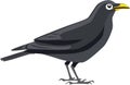 Cute black crow vector Royalty Free Stock Photo