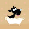 Cute Black dog bath