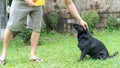 Cute black dog waiting for feeding from man Royalty Free Stock Photo