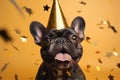 Cute black French Bulldog dog wearing New Year\'s Eve party celebration hat in front of yellow background Royalty Free Stock Photo