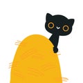 Cute Black Kitten as Farm Animal on Ranch Peeped Out from Haystack Vector Illustration