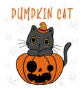 Cute Black kitten cat on funny face craved pumpkin, Halloween Pumpkin meow cartoon flat vector illustration Royalty Free Stock Photo