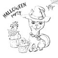 Cute black kitten and dog wearing funny and fancy Halloween hats laying with an illuminated jack-o-lantern pumpkin