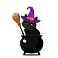 A cute black kitten in a purple witch hat sits in a cauldron next to a witch`s broom Royalty Free Stock Photo