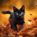 Cute baby black kitten in a bright autumn fall landscape with golden leaves