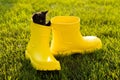 Funny black kitten sitting in yellow boot on grass. Cute image concept for postcards calendars and booklets with pet Royalty Free Stock Photo