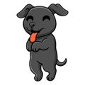 Cute black labrador dog cartoon posing