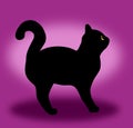 Cute and Black mysterious Cat Royalty Free Stock Photo