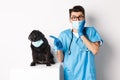 Cute black pug dog in face mask looking left at promo banner while doctor in veterinarian clinic pointing finger Royalty Free Stock Photo