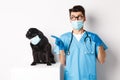 Cute black pug dog in face mask looking left at promo banner while doctor in veterinarian clinic pointing finger Royalty Free Stock Photo