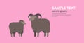 Cute black sheep and ram wool farm domestic animals breeding concept flat horizontal copy space