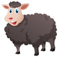 Cute black sheep on white background Royalty Free Stock Photo