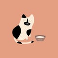 Cute black and white cat and bowl of milk. Royalty Free Stock Photo