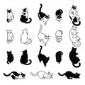 Cute black and white cats set, funny pet collection, vector illustration Royalty Free Stock Photo