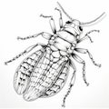Cute Black And White Cockroach Drawing In Renaissance Style Royalty Free Stock Photo