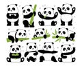 Cute black-and-white panda zoo animal Chinese symbol with bamboo tree branch isolated vector set Royalty Free Stock Photo