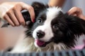 Cute black and white puppy getting haircut at groomer. Generative AI