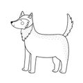 Cute black and white wolf in a standing position. Forest character in outline