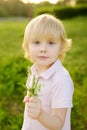 Cute blond boy playing with wild flowers in sunny spring or summer park. Preschooler kid collects a bouquet for mom. Little child Royalty Free Stock Photo