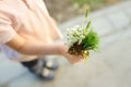 Cute blond boy playing with wild flowers in sunny spring or summer park. Preschooler kid collects a bouquet for mom. Little child Royalty Free Stock Photo