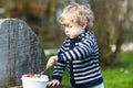 Cute blond boy of two years eating strawberries outdoors Royalty Free Stock Photo