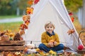 Cute blond child, boy, playing with knitted toys in the park, autumntime Royalty Free Stock Photo