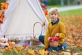 Cute blond child, boy, playing with knitted toys in the park, autumntime Royalty Free Stock Photo