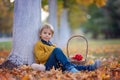 Cute blond child, boy, playing with knitted toys in the park, autumntime Royalty Free Stock Photo