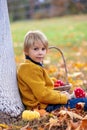 Cute blond child, boy, playing with knitted toys in the park, autumntime Royalty Free Stock Photo