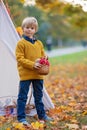 Cute blond child, boy, playing with knitted toys in the park, autumntime Royalty Free Stock Photo