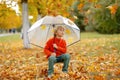 Cute blond child, boy, playing with knitted toys in the park, autumntime Royalty Free Stock Photo