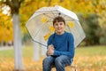 Cute blond child, boy, playing with knitted toys in the park, autumntime Royalty Free Stock Photo