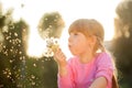 Cute blond little girl blowing a dandelion Royalty Free Stock Photo