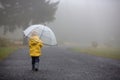 Cute blond toddler child, boy, playing in the rain with umbrella on a foggy autumn day Royalty Free Stock Photo