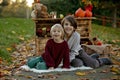 Cute blond toddler child and sibling brothers, standing next to autumn wooden stand with decoration, apples, leaves, mug,