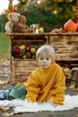 Cute blond toddler child and sibling brothers, standing next to autumn wooden stand with decoration, apples, leaves, mug,