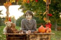 Cute blond toddler child and sibling brothers, standing next to autumn wooden stand with decoration, apples, leaves, mug,