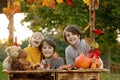 Cute blond toddler child and sibling brothers, standing next to autumn wooden stand with decoration, apples, leaves, mug,