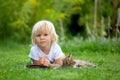 Cute blond toddler child, sweet boy, playing in garden with little kitten, reading book summertime Royalty Free Stock Photo