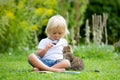 Cute blond toddler child, sweet boy, playing in garden with little kitten, reading book summertime Royalty Free Stock Photo