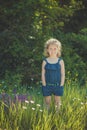 Cute blond young girl child stylish dressed in blue jeans dress posing on meadow of forest wild mayweed.Adoreable scene Royalty Free Stock Photo